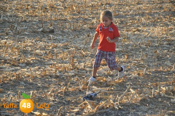 7amam lud monir 908 (30).JPG